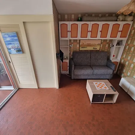 Daire Avec Terrasse Proche - Fr-1-309-501 Collioure